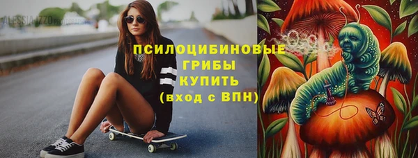 мдпв Киреевск