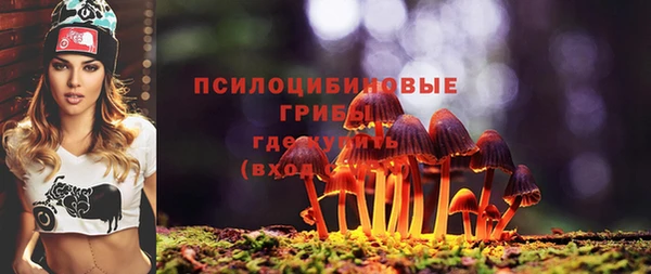 мдпв Киреевск